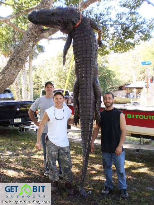 Catch a gator by his toe!