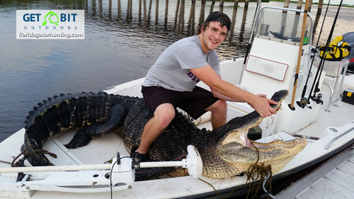 Swamp Donkey!