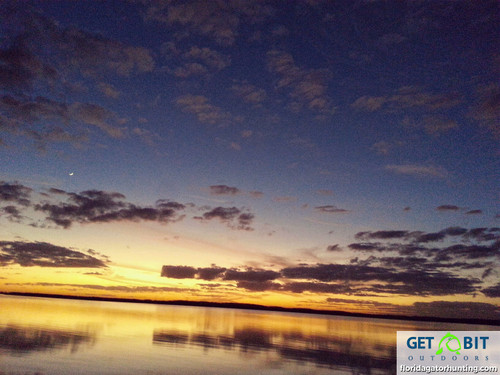Trophy Florida Guided Hunts
