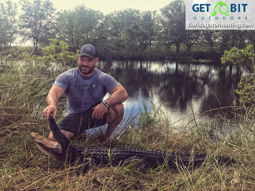 Red Hot Alligator Hunt