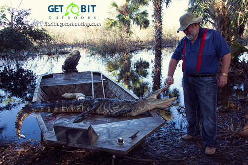 No Gators in Canada? No problem