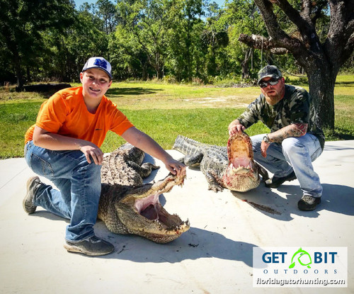 21ft of alligator!