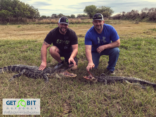 Bag a gator!