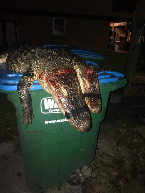 Lake Wimico Hunt