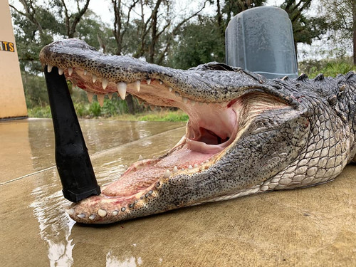 2019 is off to an Amazing Start!
