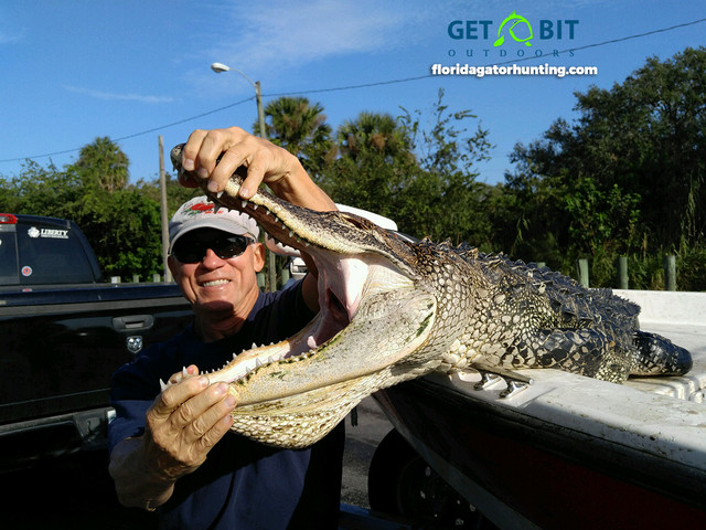 Gator Hunts Gallery