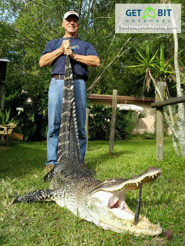 Gator Hunts Gallery
