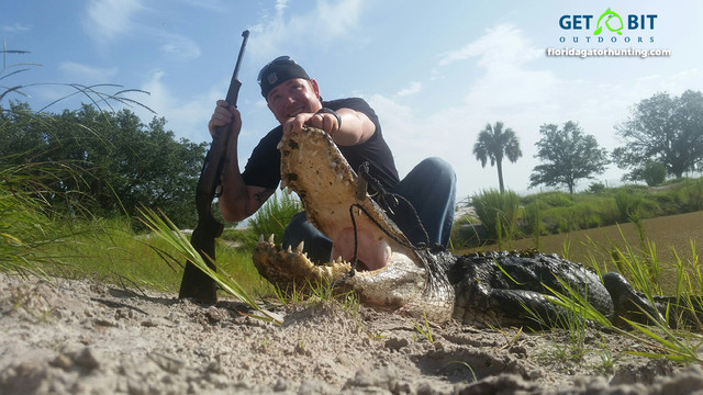 Gator Hunts Gallery