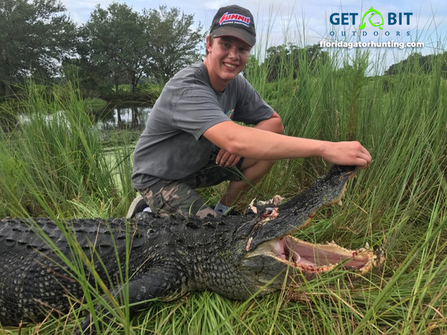 Gator 1