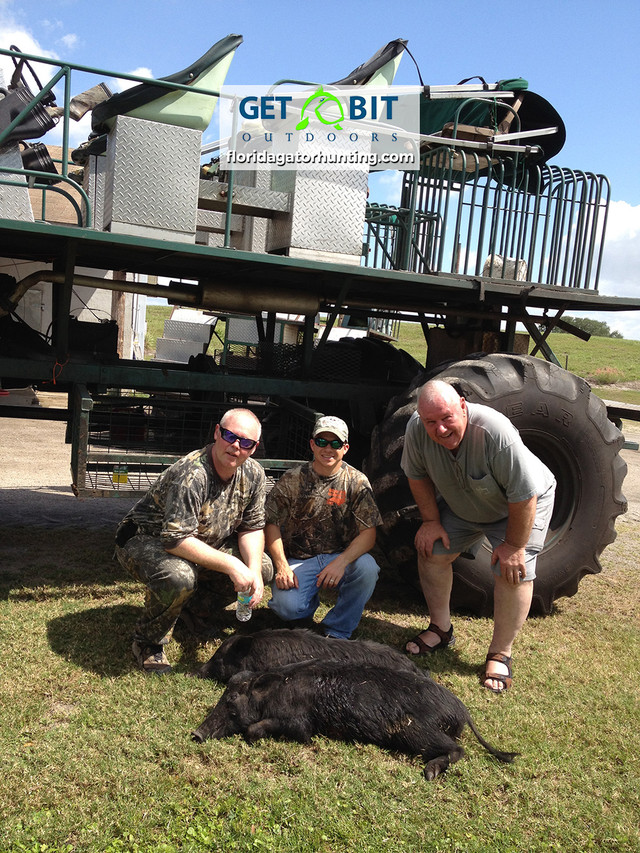 Hog and buggie fentzlaff hog hunt