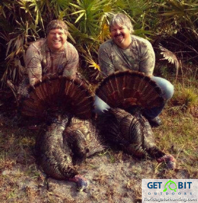 Turkey Greg Gamage double zoom