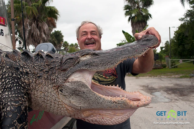 Warran MonsterGator 1 1