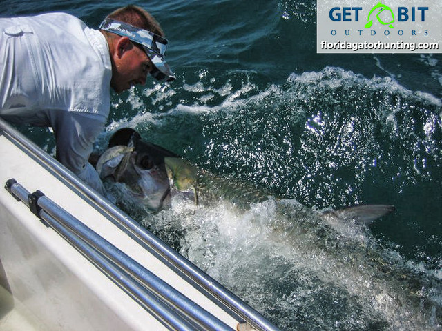 Get bit fishing 12