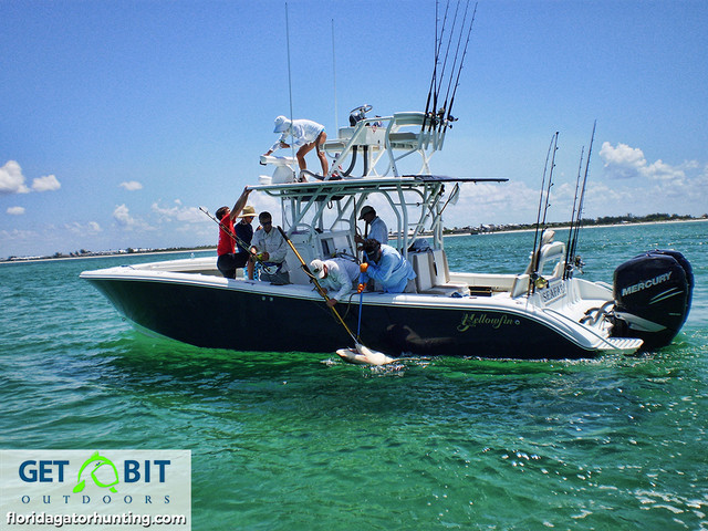 Get bit fishing 28