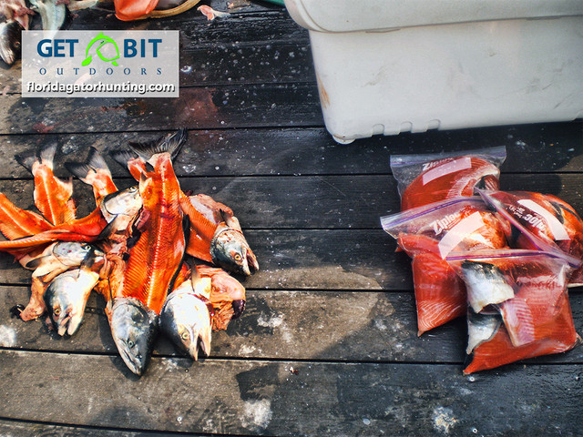 Get bit fishing 3