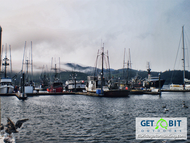 Get bit fishing 4