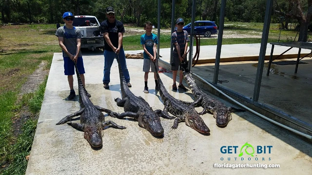 Tj gator hunt2017