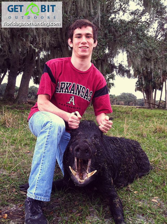 Trophy boar hunting