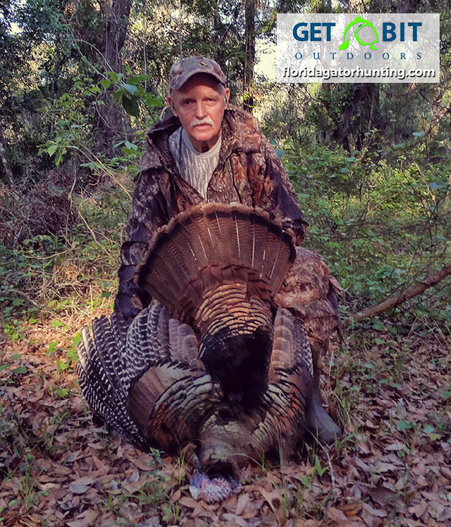 Turkey hunt1