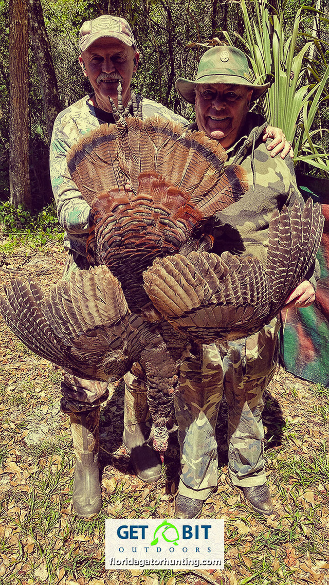 Turkey hunt2