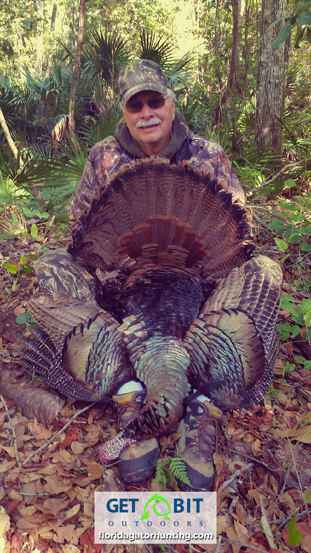 Turkey hunt3