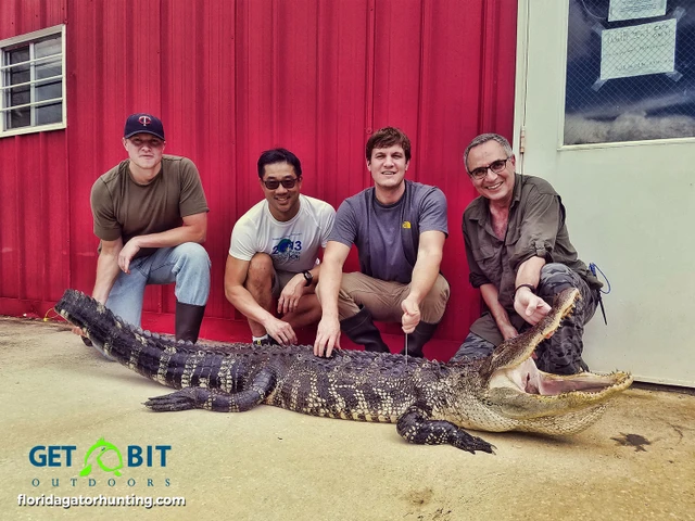 Gator huntig florida
