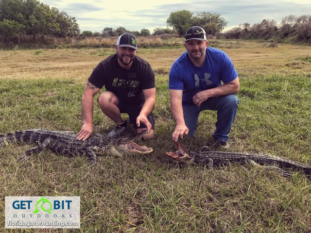 Spring break gator hunt