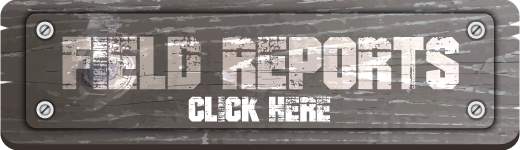 Field Reports — click here