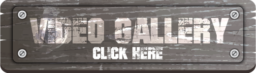 Video Gallery — click here