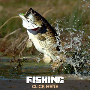 Fishing — click here
