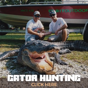 Gator Hunting — click here