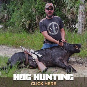 Hog Hunting — click here
