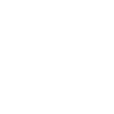 Vortex Optics