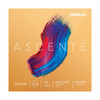 D'Addario Ascente Violin String Set, 3/4 Scale, Medium