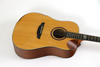 Strinberg SD-201 Acoustic-Electric Guitar w/Gig Bag
