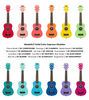 Kala Solid Colour Ukadelic Series Ukulele - Soprano