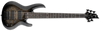 ESP LTD B-205DX Active Bass Guitar - 5-String