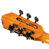 Ortega Guitars Tour Player Classical-Electric Guitar - Limited Edition Ziricote