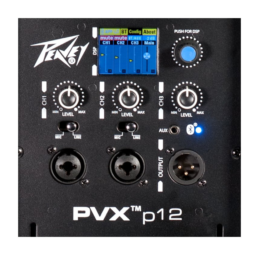 Peavey PVXp 12