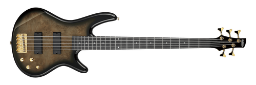 Ibanez Gio GSR205 5-string Bass Guitar Ibanez Gio GSR205 5-string Bass Guitar