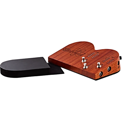 Ortega Quantum Loop Effects Pedal w/ Percussion Samples