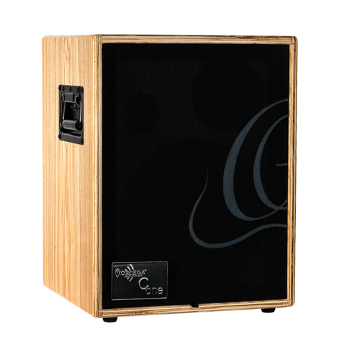 Ortega C-One Acoustic Combo Amplifier - 100W - Ash
