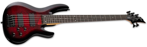 ESP LTD B-205DX Active Bass Guitar - 5-String