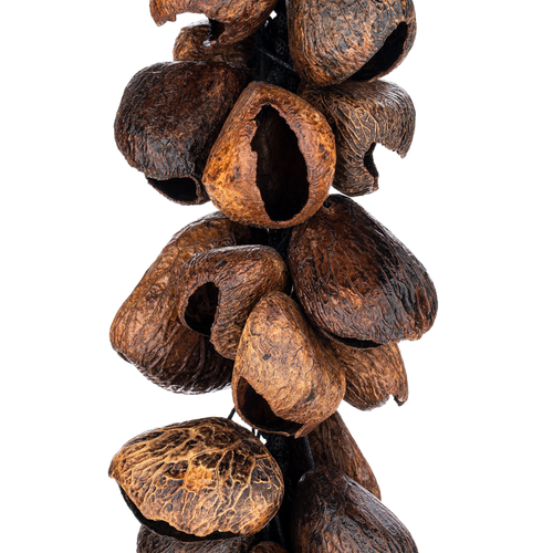 Meinl Percussion WA5 Pangi Waterfall Shaker - 40 Seeds