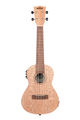 Kala KA-20CE Burled Meranti Concert Ukulele w/EQ - Front View