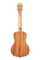 Kala Voyage Collection Guidance Concert Ukulele - Back