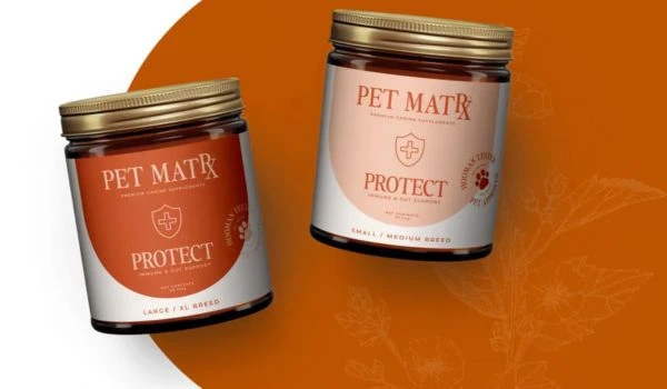 BPC 157 For Dogs Your Pup's Healing Helper? Pet Matrx