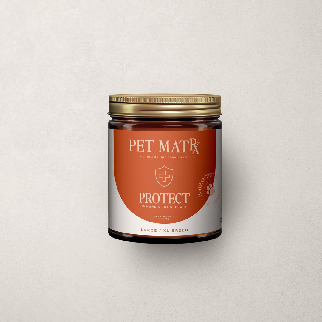 bpc 157 dog PRP for Prostatic Cysts in Dogs main image 0