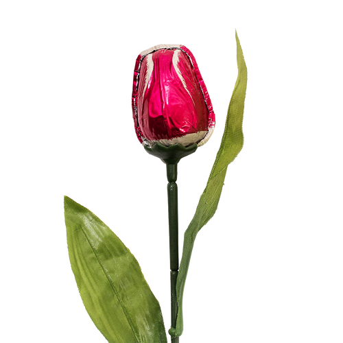 Chocolate Foiled Tulip Chocolate Foiled Tulip