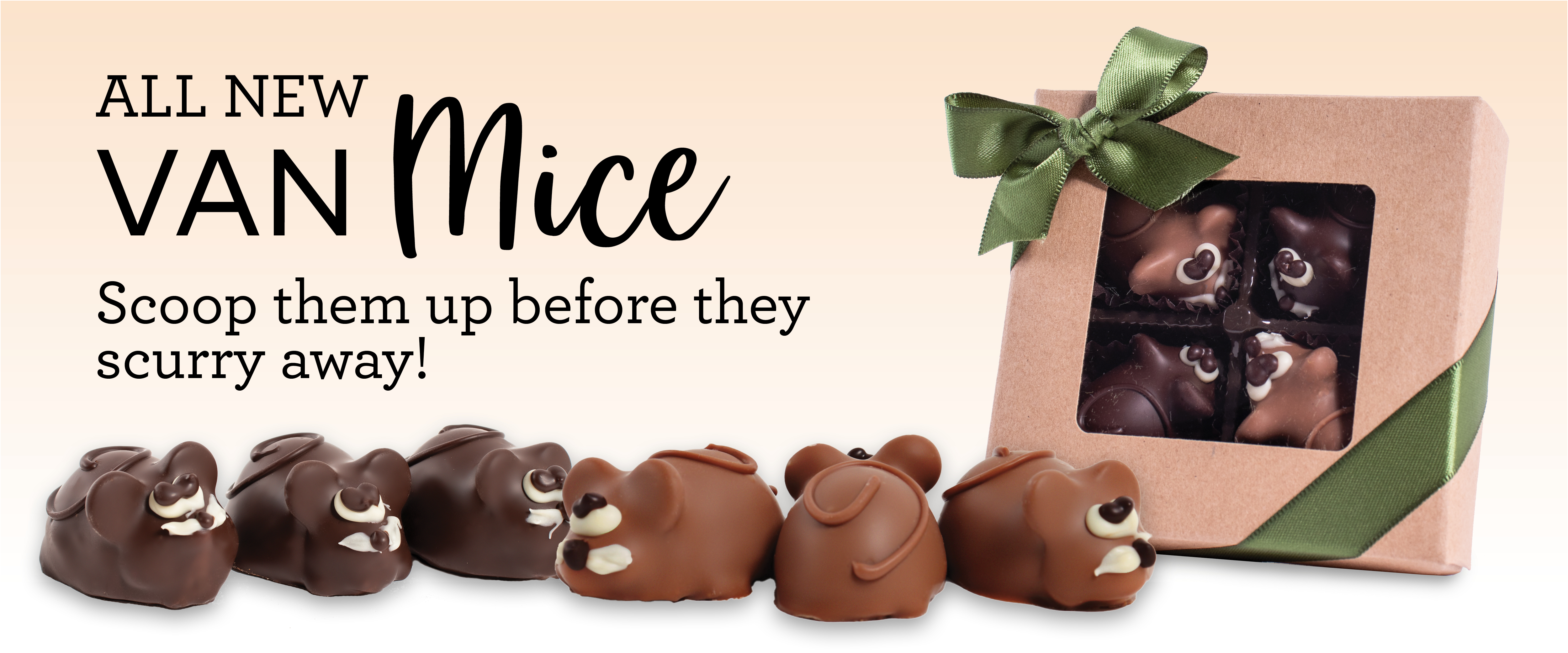 Van Otis Chocolates Chocolates and Candies Handcrafted in Manchester NH